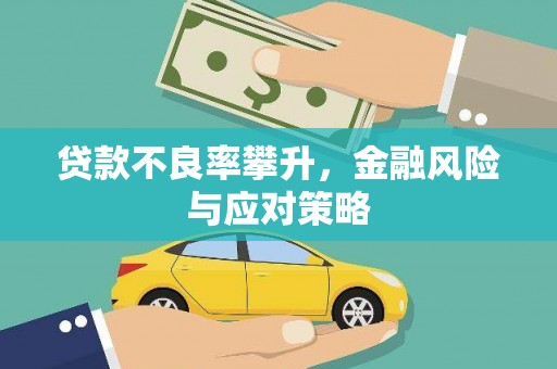 西沙贷款不良率攀升，金融风险与应对策略
