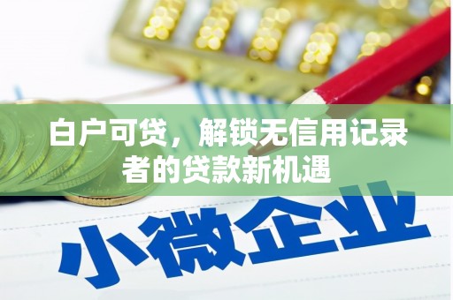 西沙白户可贷，解锁无信用记录者的贷款新机遇