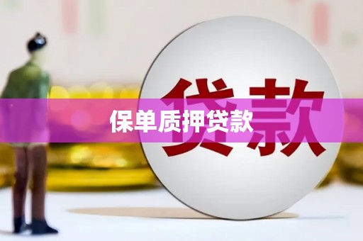 西沙保单质押贷款