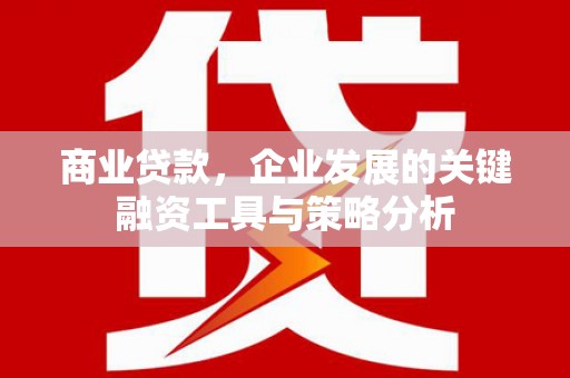 西沙商业贷款，企业发展的关键融资工具与策略分析