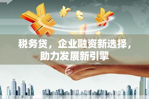 西沙税务贷，企业融资新选择，助力发展新引擎