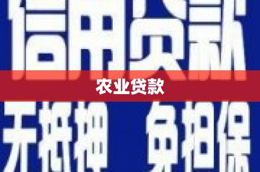 西沙农业贷款
