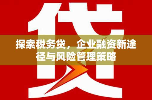 西沙探索税务贷，企业融资新途径与风险管理策略