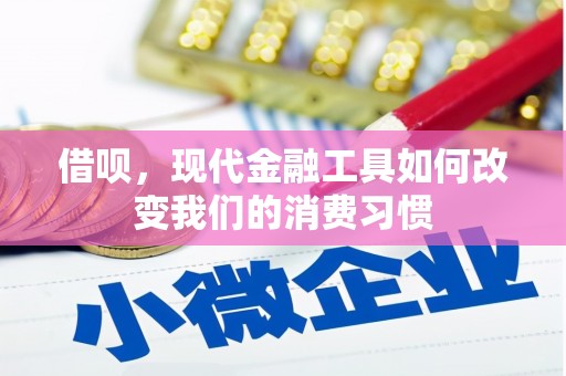西沙借呗，现代金融工具如何改变我们的消费习惯