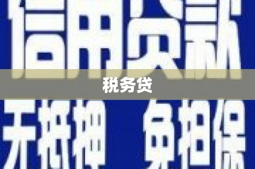 西沙税务贷