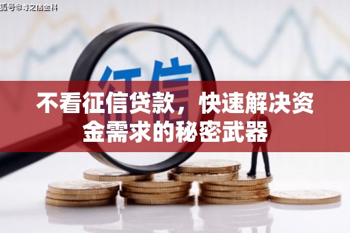 西沙不看征信贷款，快速解决资金需求的秘密武器