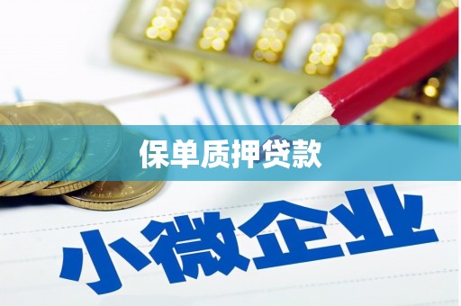 西沙保单质押贷款