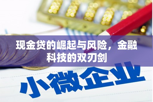 西沙现金贷的崛起与风险，金融科技的双刃剑