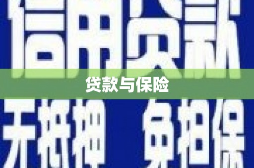西沙贷款与保险