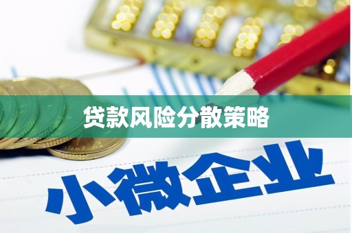 西沙贷款风险分散策略