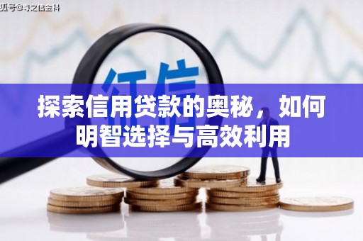 西沙探索信用贷款的奥秘，如何明智选择与高效利用