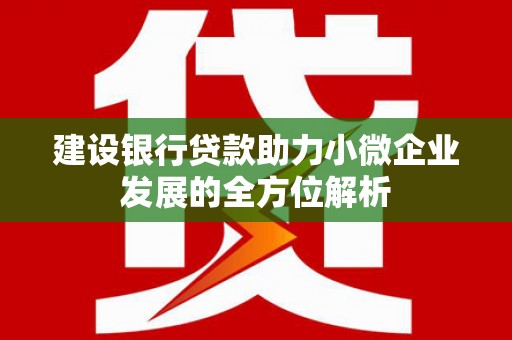 西沙建设银行贷款助力小微企业发展的全方位解析