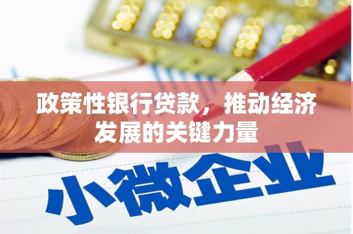 西沙政策性银行贷款，推动经济发展的关键力量