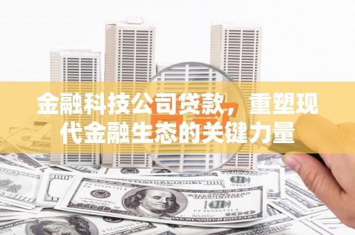 西沙金融科技公司贷款，重塑现代金融生态的关键力量
