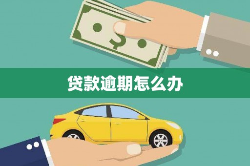 西沙贷款逾期怎么办