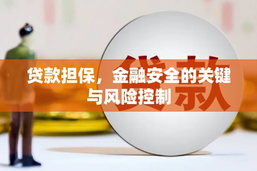 西沙贷款担保，金融安全的关键与风险控制