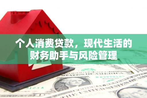 西沙个人消费贷款，现代生活的财务助手与风险管理