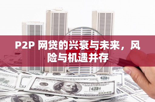西沙P2P 网贷的兴衰与未来，风险与机遇并存